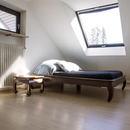 Menzinger Munich